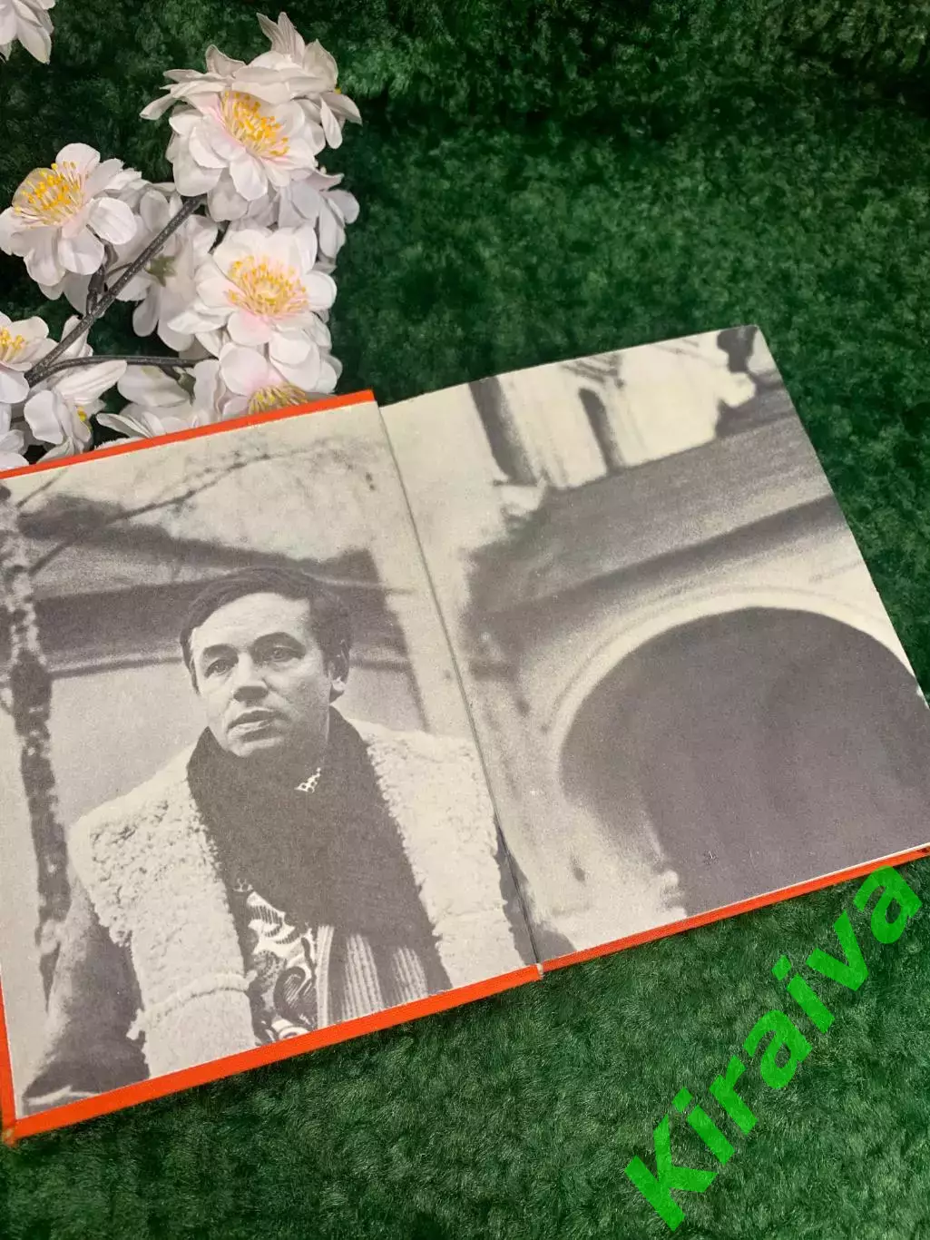 Книга поэзия «Дубовый лист виолончельный» Андрей Вознесенский, 1975 г. Н2272 1