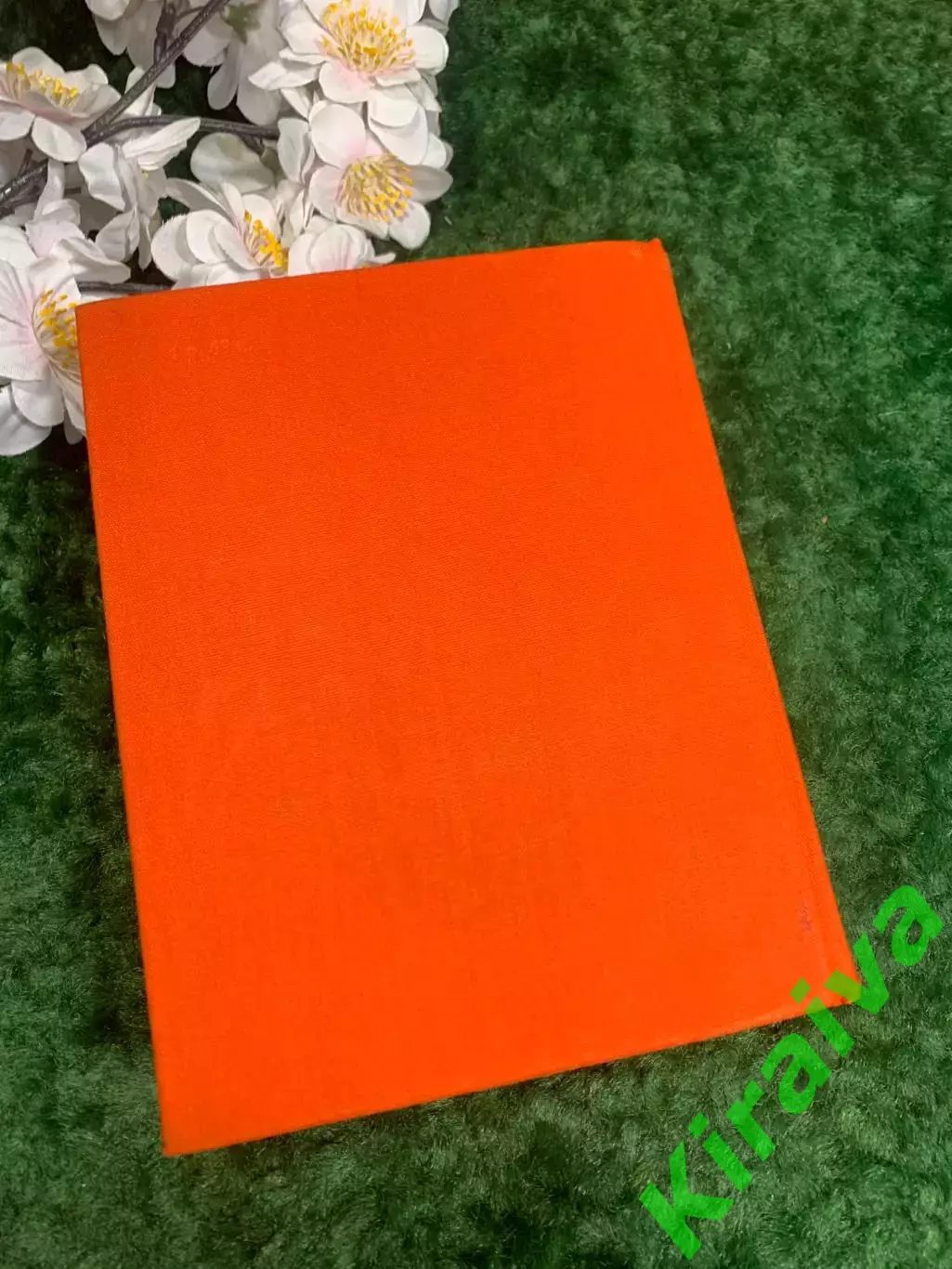 Книга поэзия «Дубовый лист виолончельный» Андрей Вознесенский, 1975 г. Н2272 5