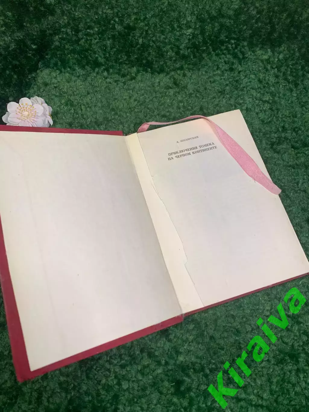 Книга роман «Приключения Томека на Чёрном континенте» Альфред Шклярский Н2321 1