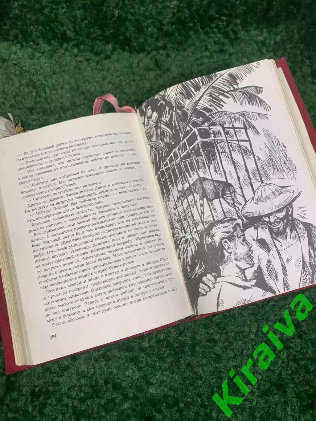 Книга роман «Приключения Томека на Чёрном континенте» Альфред Шклярский Н2321 5