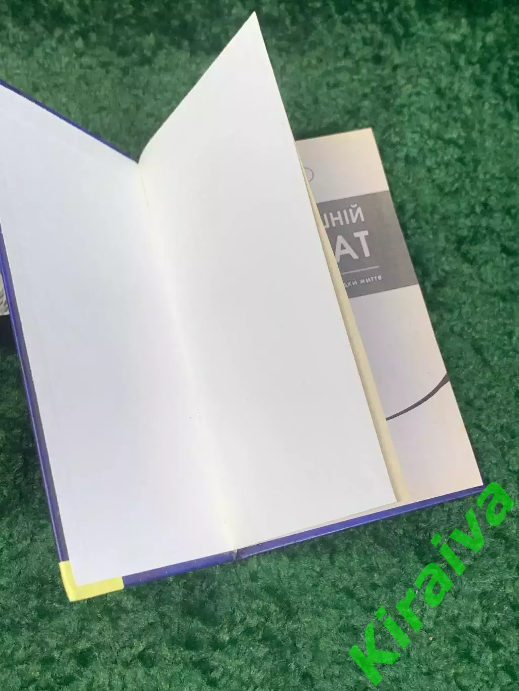 Книга «Ваш домашний адвокат. Юридический справочник на все случаи жизни» Н2322 1