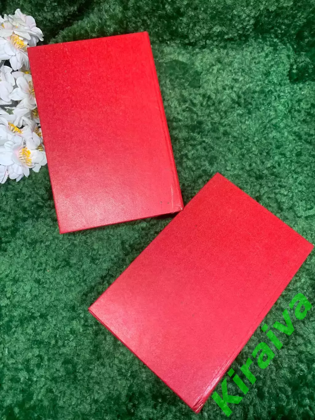 Книга в двух томах «Повести и рассказы» Ф. М. Достоевский, 1979 год, Н4462 7