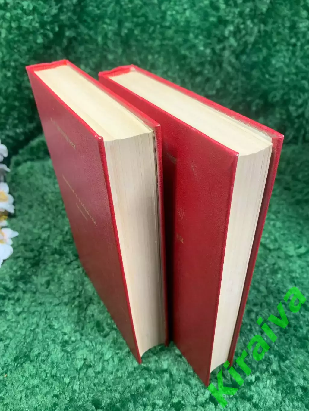 Книга в двух томах «Повести и рассказы» Ф. М. Достоевский, 1979 год, Н4462 6