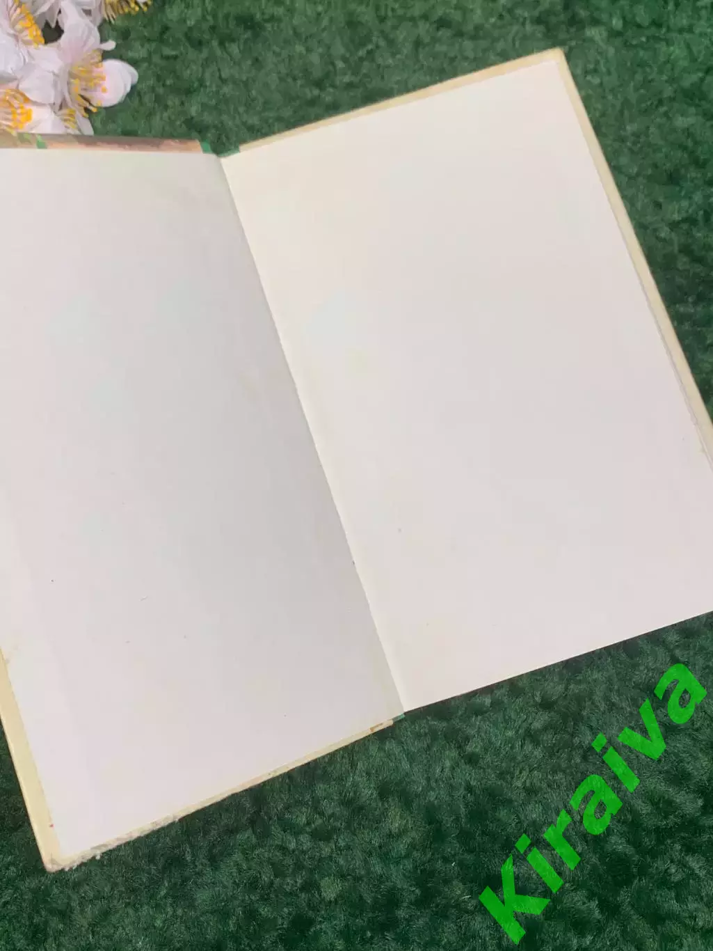 Книга сборник стихов «И сердца жар и чистые стремленья...» Плещеев 1978 г Н2333 1