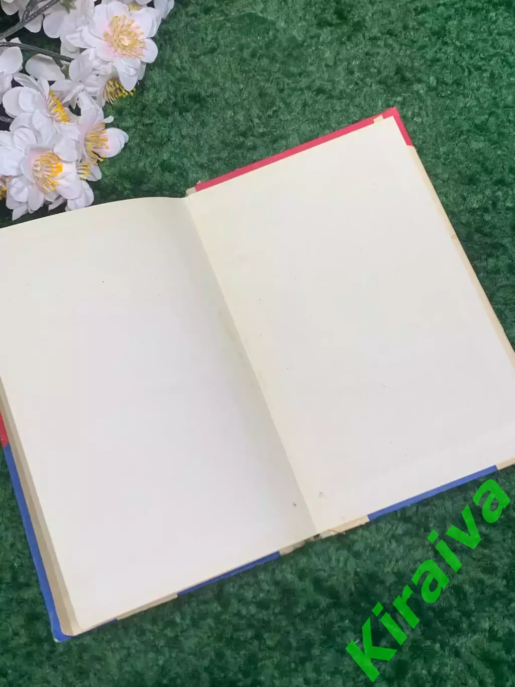 Книга повесть «Драться так драться!» Е.Рязанова 1964 г Н2334Редкое советское и 6