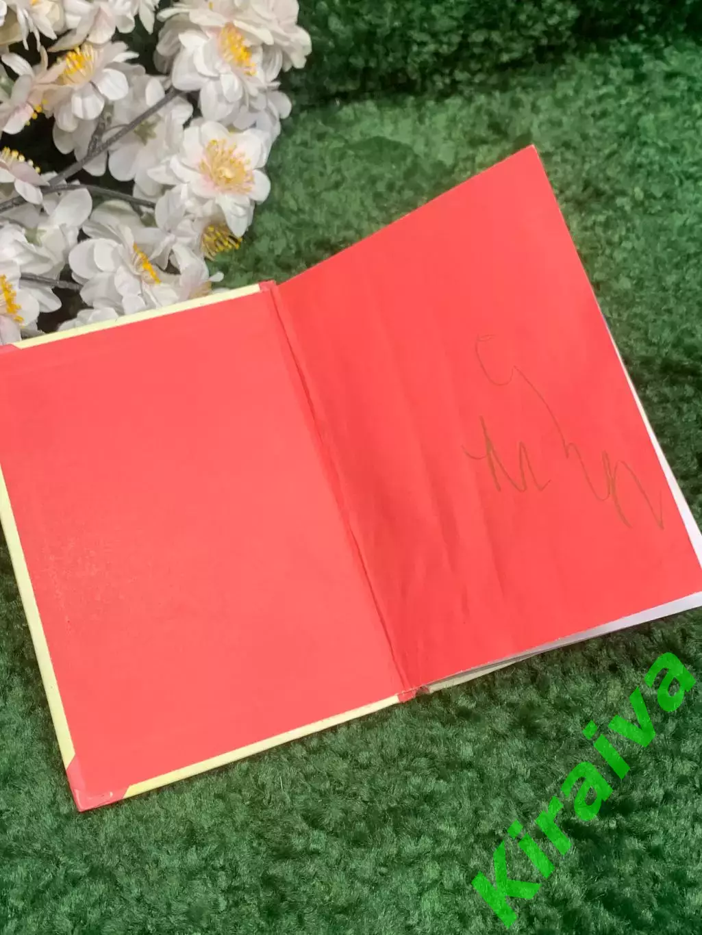 Книга детская приключения «Острів Незнайки» Игорь Носов 2005 г Киев Н2338 1