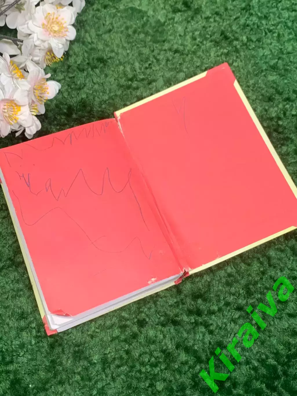 Книга детская приключения «Острів Незнайки» Игорь Носов 2005 г Киев Н2338 7