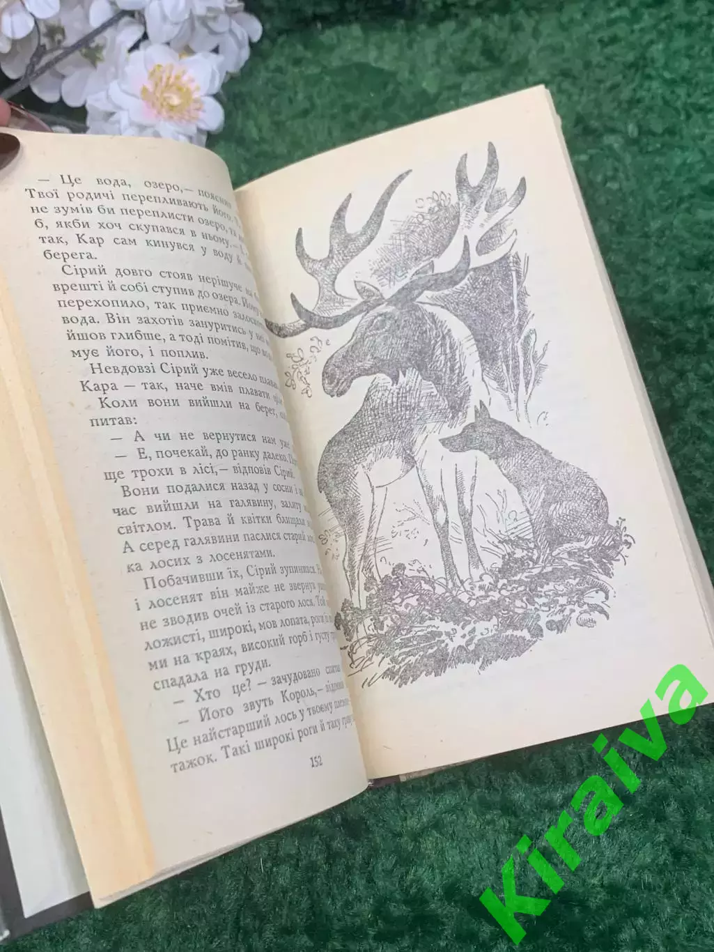 Книга повесть-сказка «Чудова подорож Нільса з дикими гусаками» Лагерлеф Н2340 4