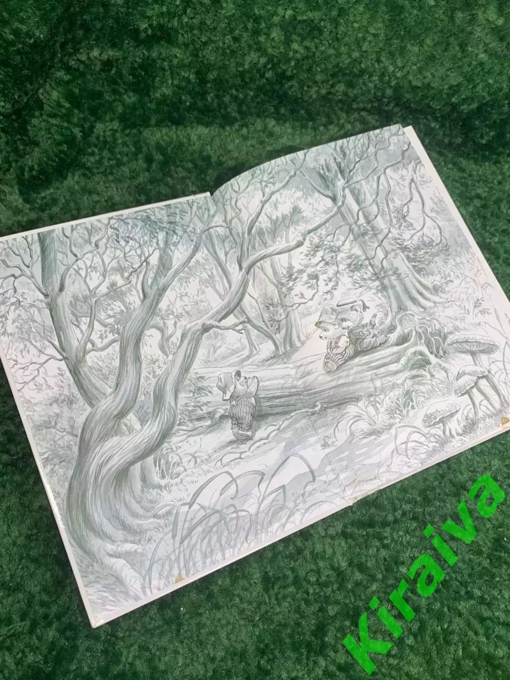 Книга добрых медвежьих историй «Meine Bobo B?rengeschichten» Немецкий Н2348 1