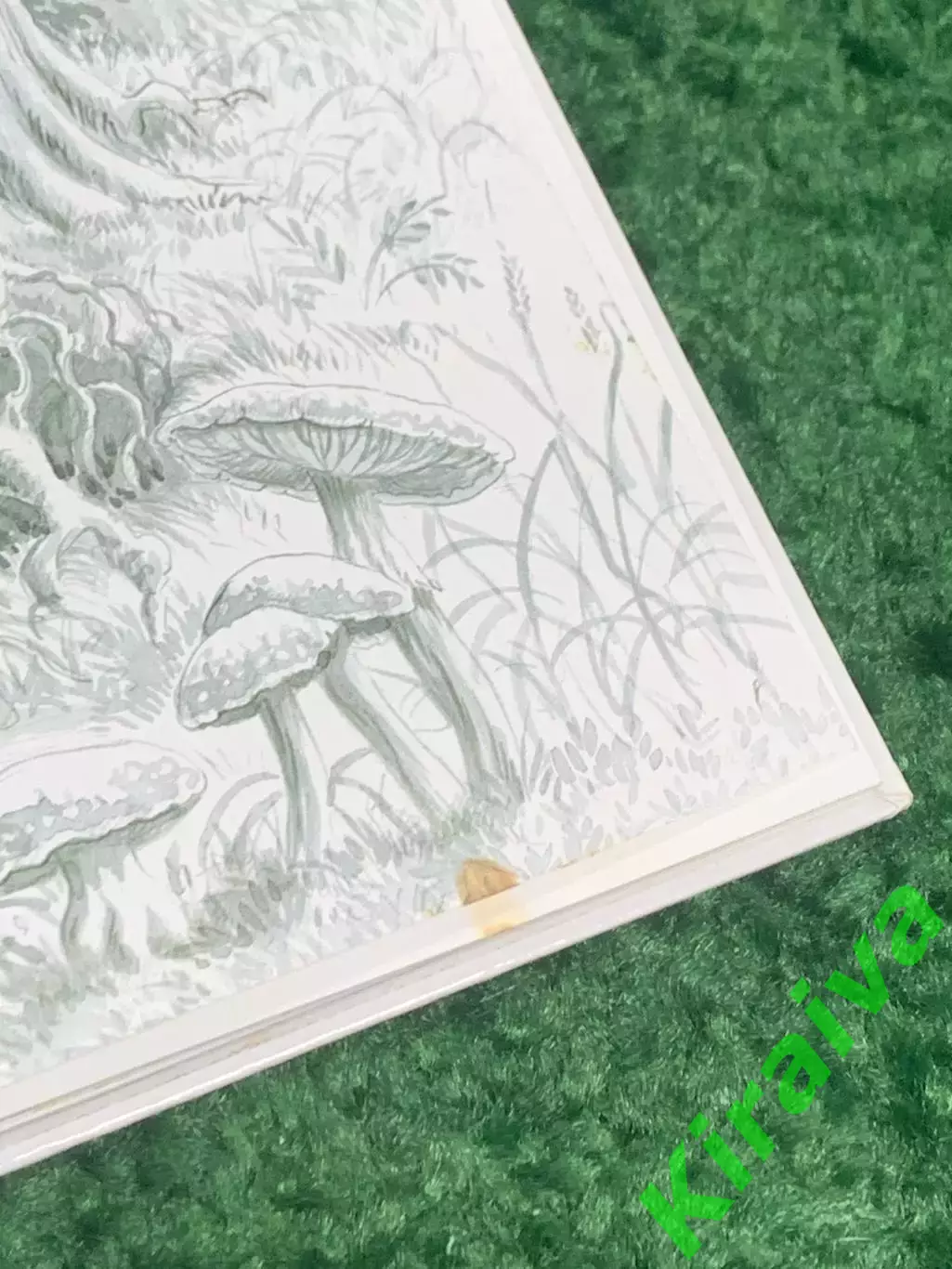 Книга добрых медвежьих историй «Meine Bobo B?rengeschichten» Немецкий Н2348 2