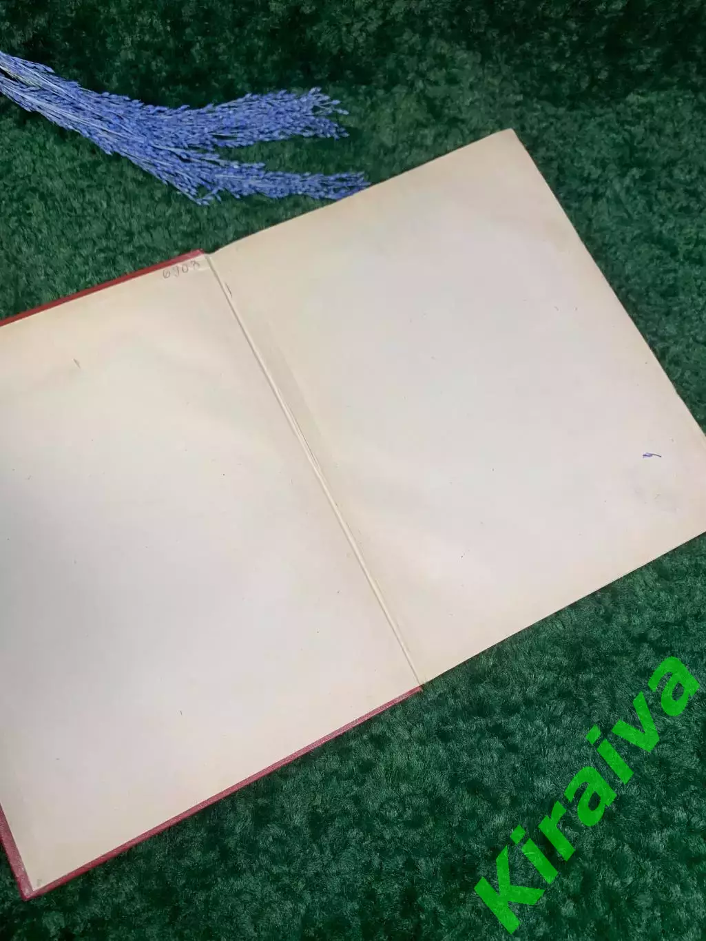 Книга поэма в стихах «Витязь в тигровой шкуре» Шота Руставели 1950 г. Н2357 1