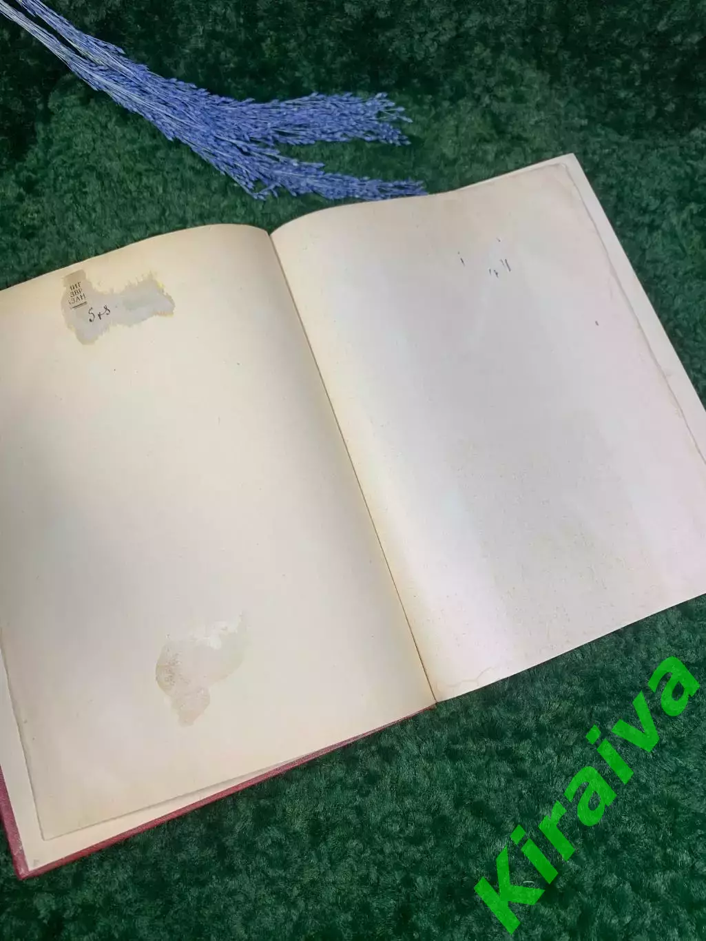 Книга поэма в стихах «Витязь в тигровой шкуре» Шота Руставели 1950 г. Н2357 2