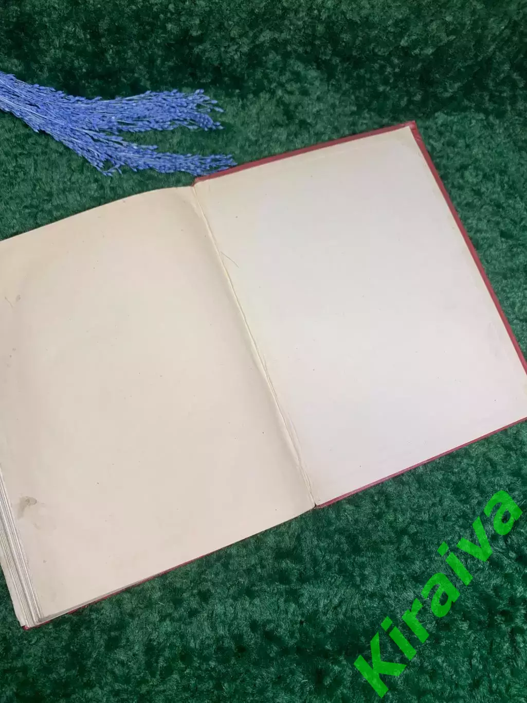 Книга поэма в стихах «Витязь в тигровой шкуре» Шота Руставели 1950 г. Н2357 5