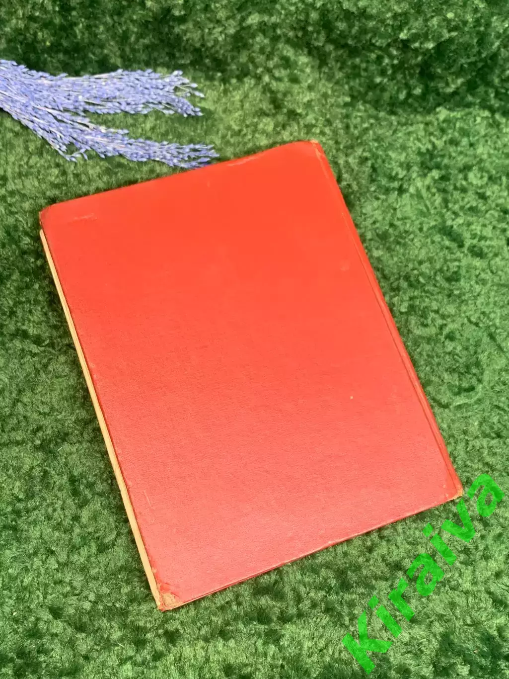 Книга поэма в стихах «Витязь в тигровой шкуре» Шота Руставели 1950 г. Н2357 6