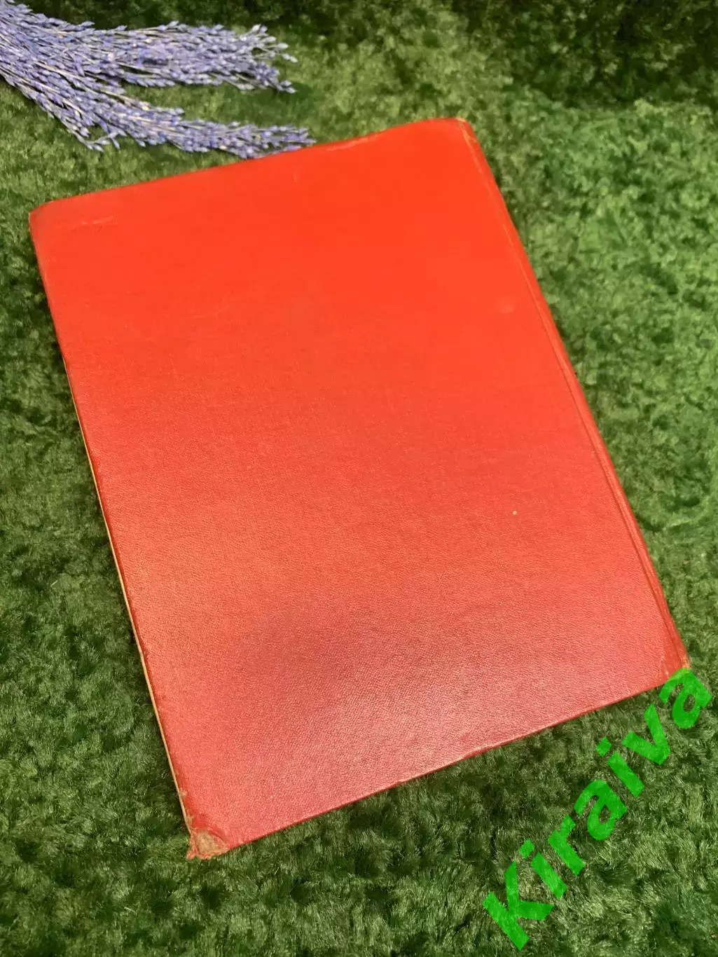 Книга поэма в стихах «Витязь в тигровой шкуре» Шота Руставели 1950 г. Н2357 7