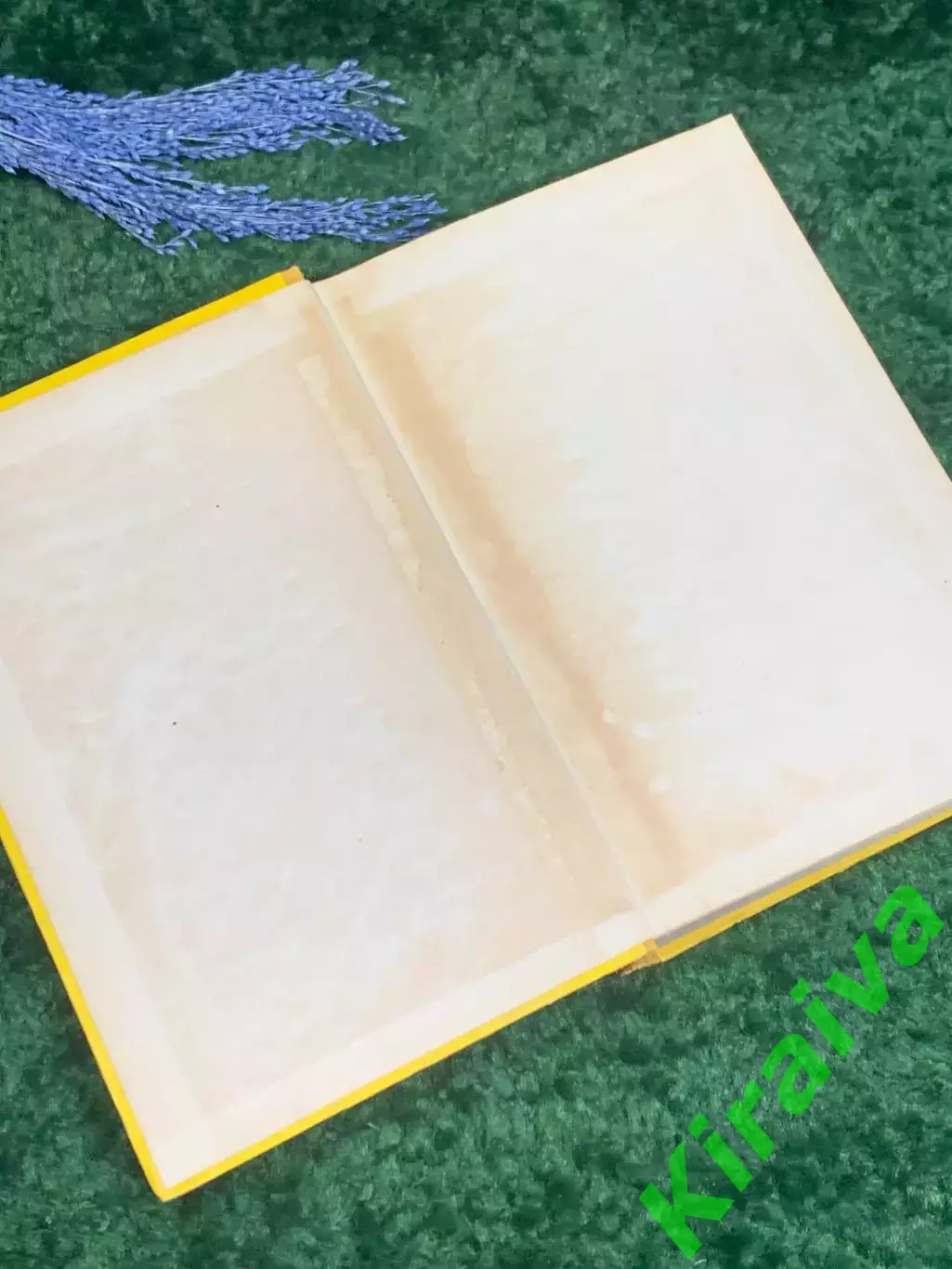 Книга приключения «Легенда об Уленшпигеле» Шарль де Костер 1956 г. Н2358 1