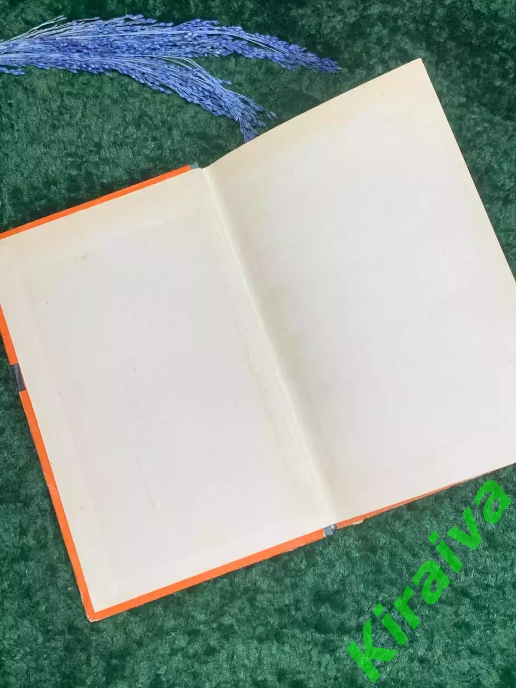 Книга сборник фельетонов и очерков Михаила Булгакова «Ушедшая Москва» 1964 Н2359 1