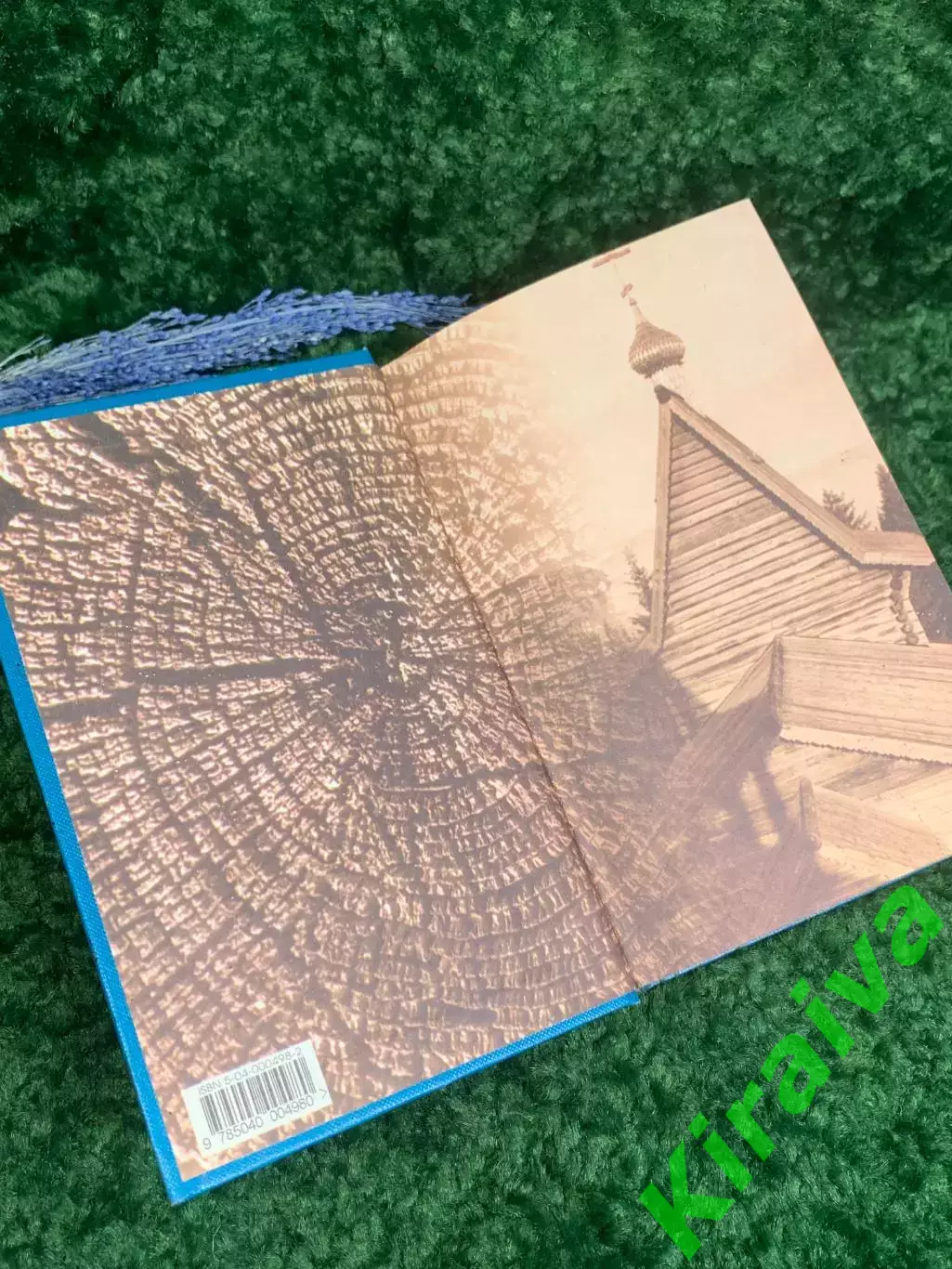 Книга исторический роман «Жестокий век» Исая Калашникова Н2361 1