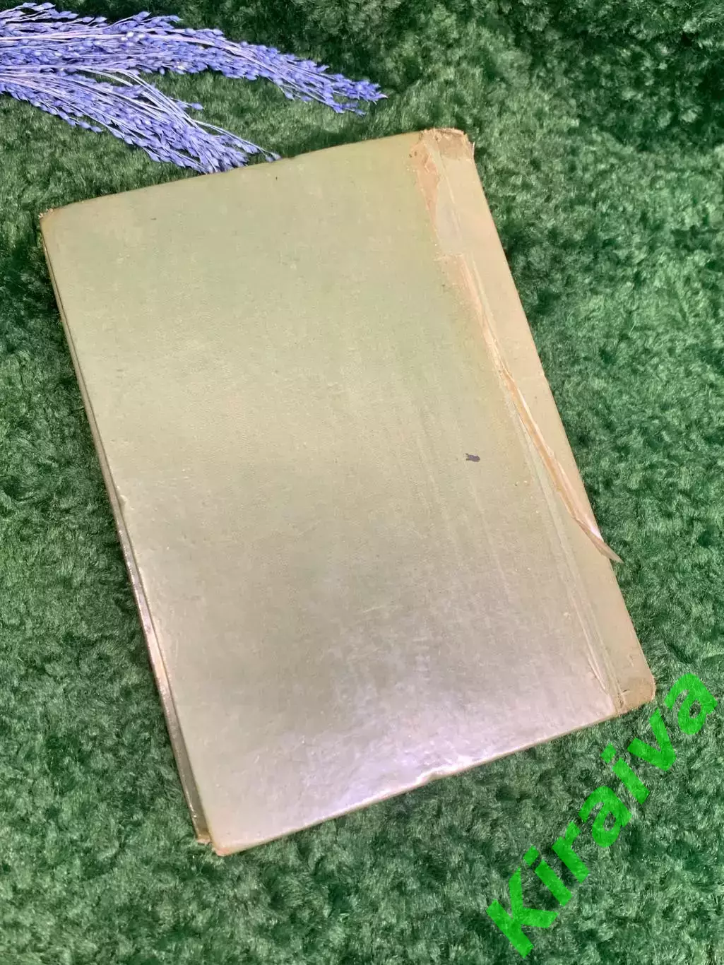 Книга самвидав самиздат машинопись самиздатовская 1970-е гг., Н2364 6