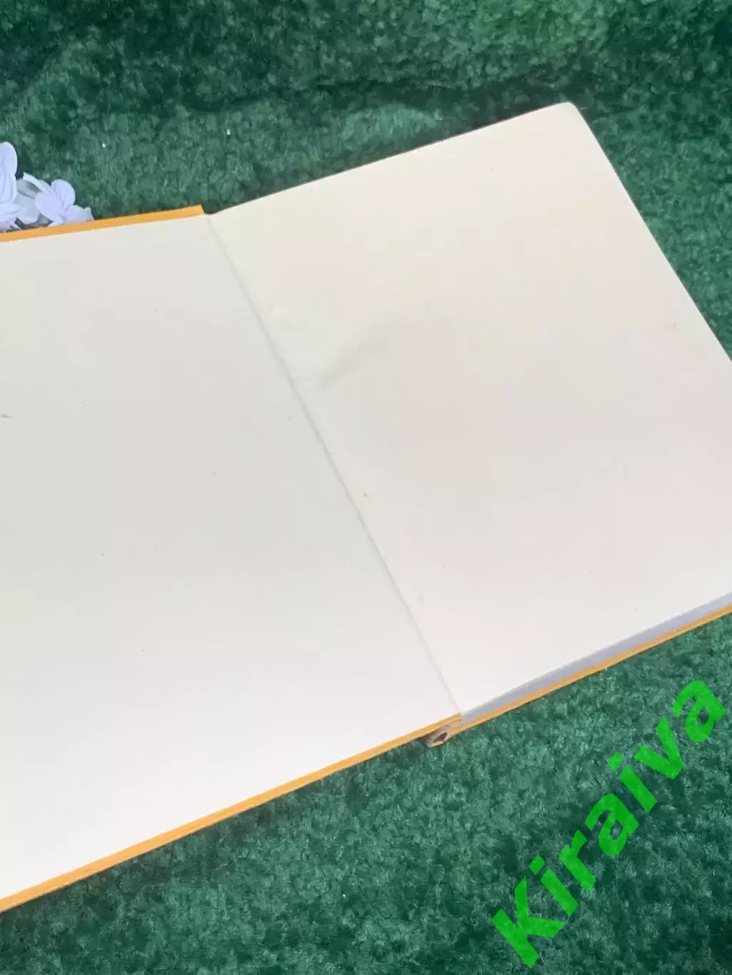 Книга том 6 советского издания «Детская энциклопедия» Н2367 1