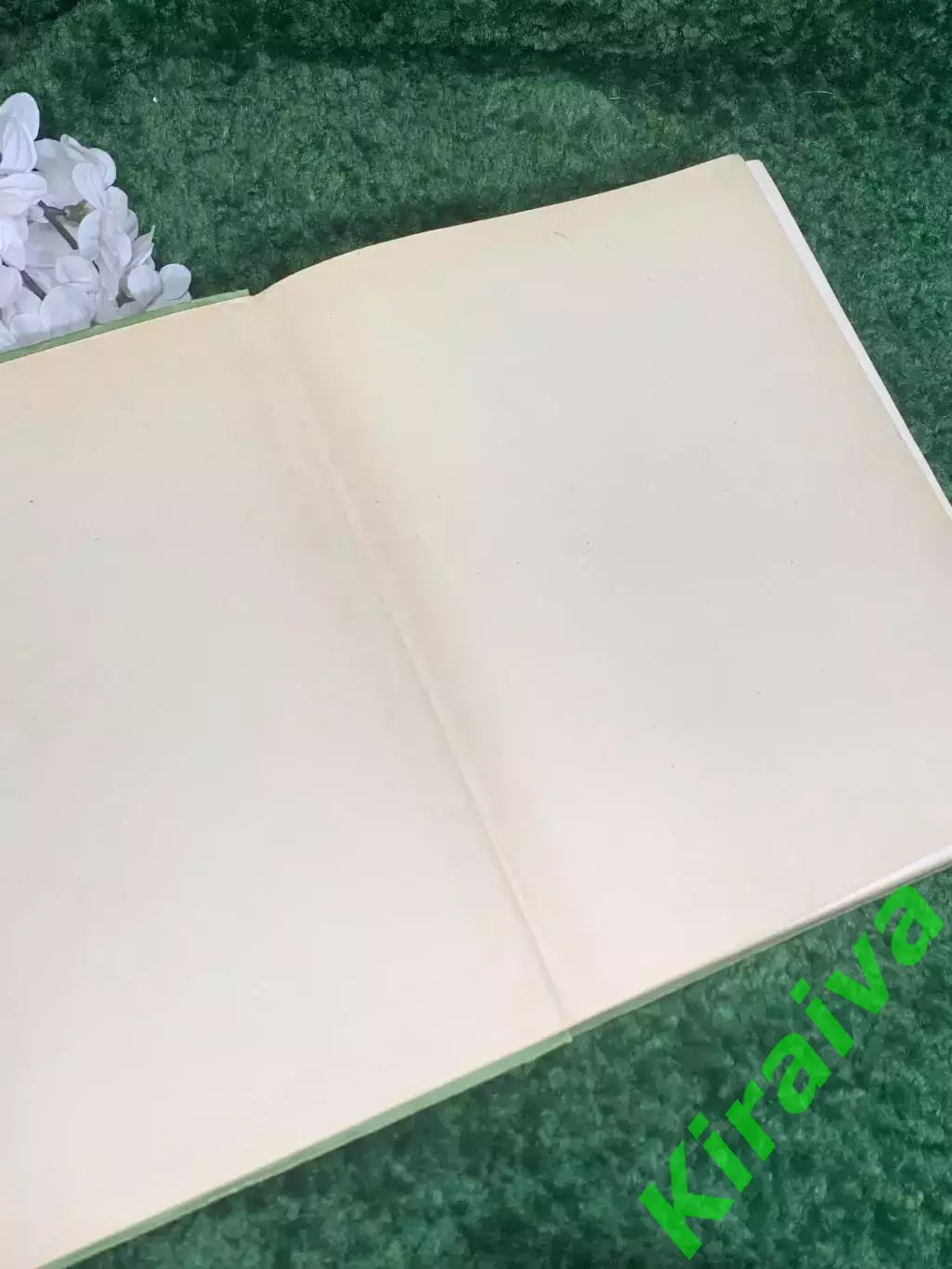 Книга учебное, научное издание «Биология» К. Вилли, «Мир», 1966 г., Н2372 1