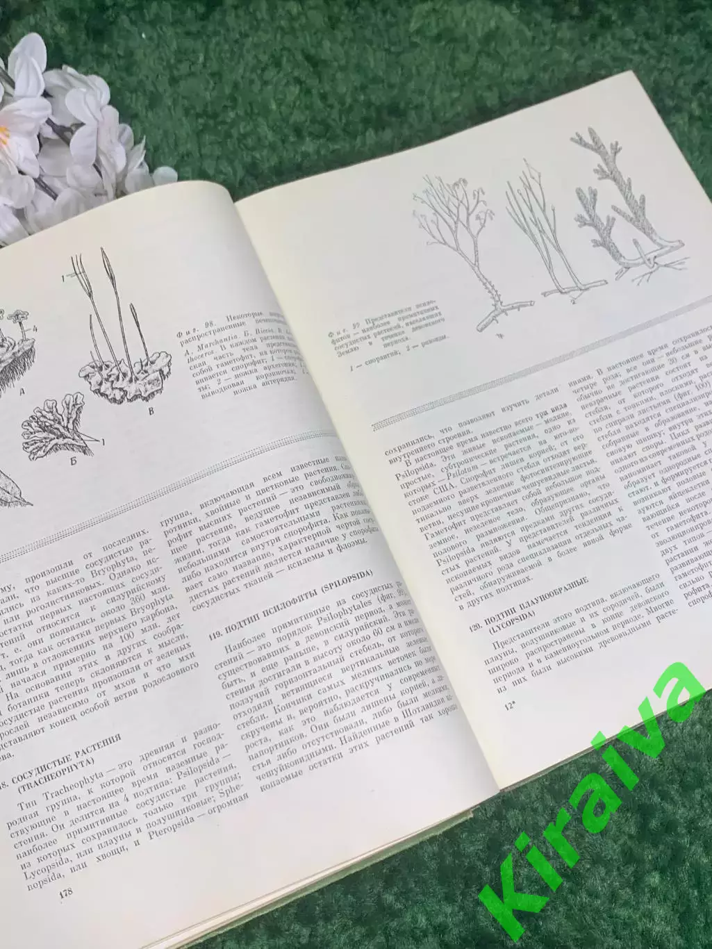 Книга учебное, научное издание «Биология» К. Вилли, «Мир», 1966 г., Н2372 5