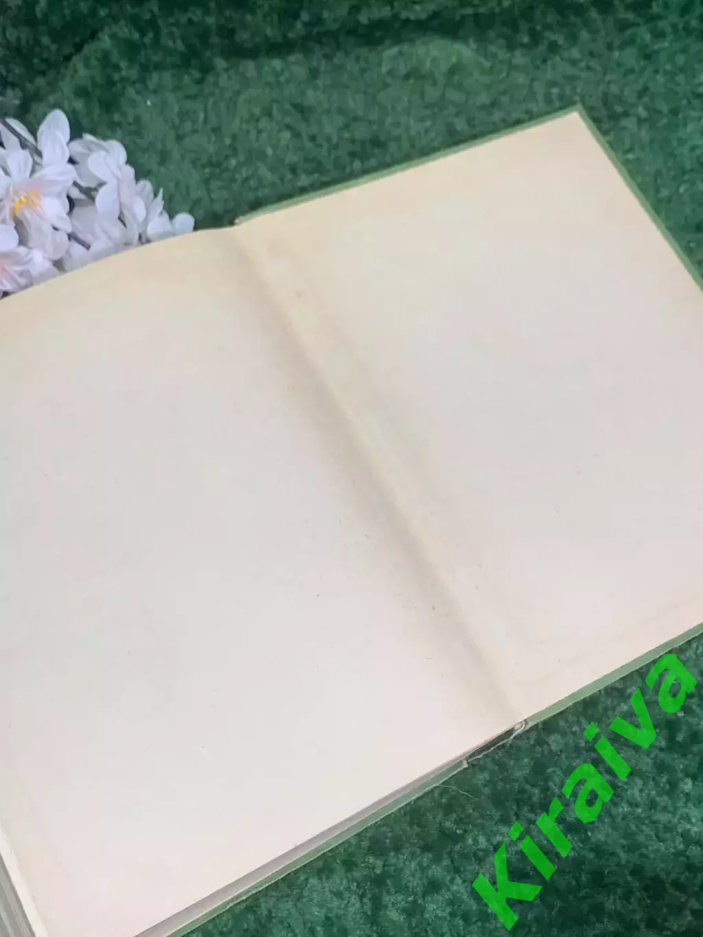 Книга учебное, научное издание «Биология» К. Вилли, «Мир», 1966 г., Н2372 6