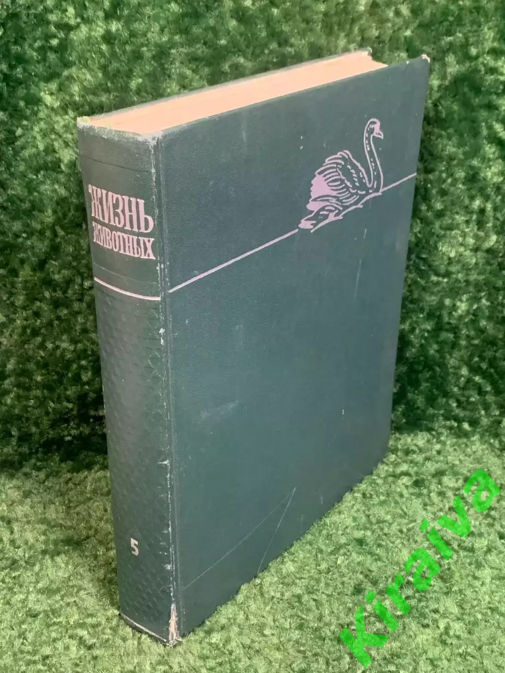 Книга антикварный том 5 из серии энциклопедий «Жизнь животных», 1970 г., Н2373