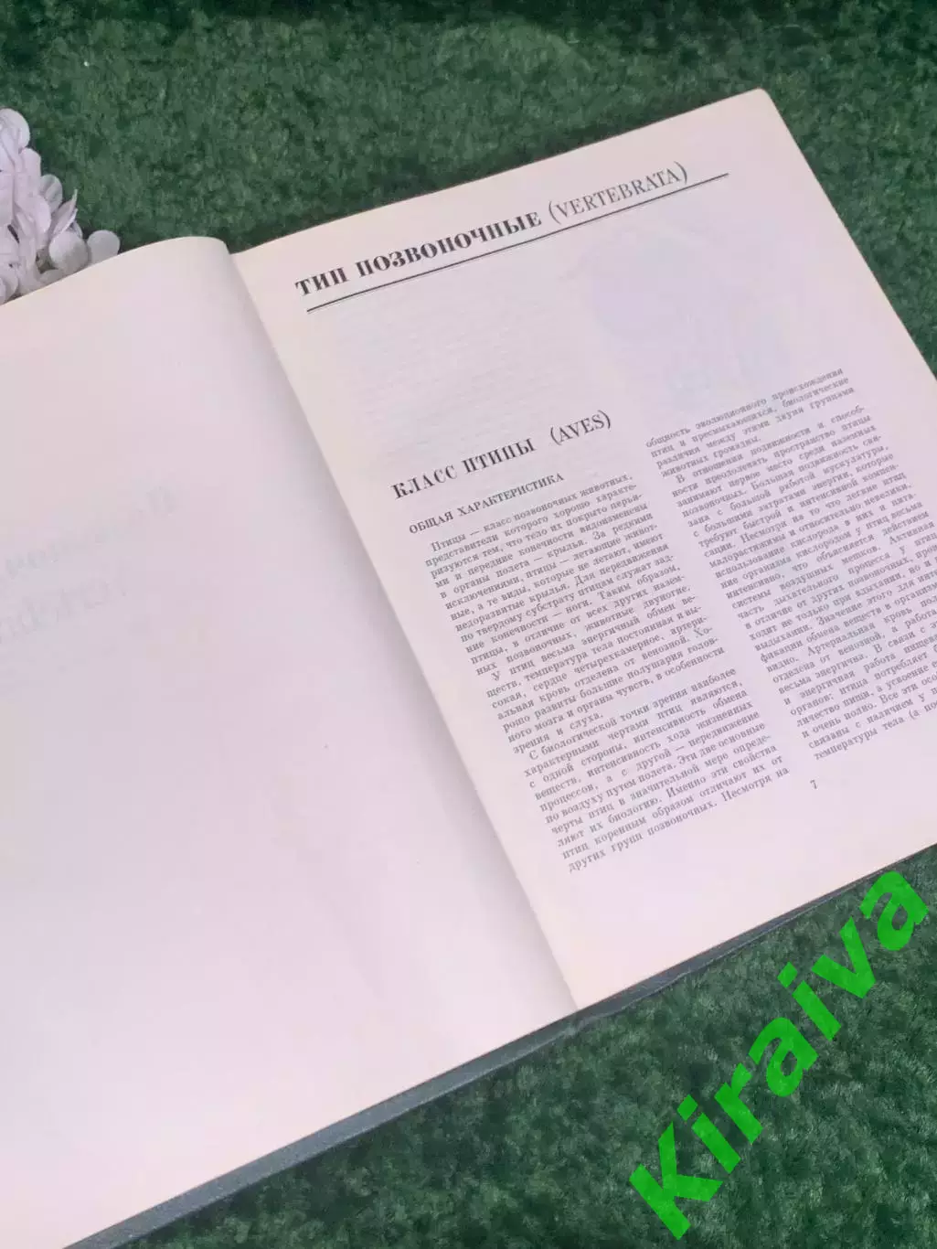 Книга антикварный том 5 из серии энциклопедий «Жизнь животных», 1970 г., Н2373 3
