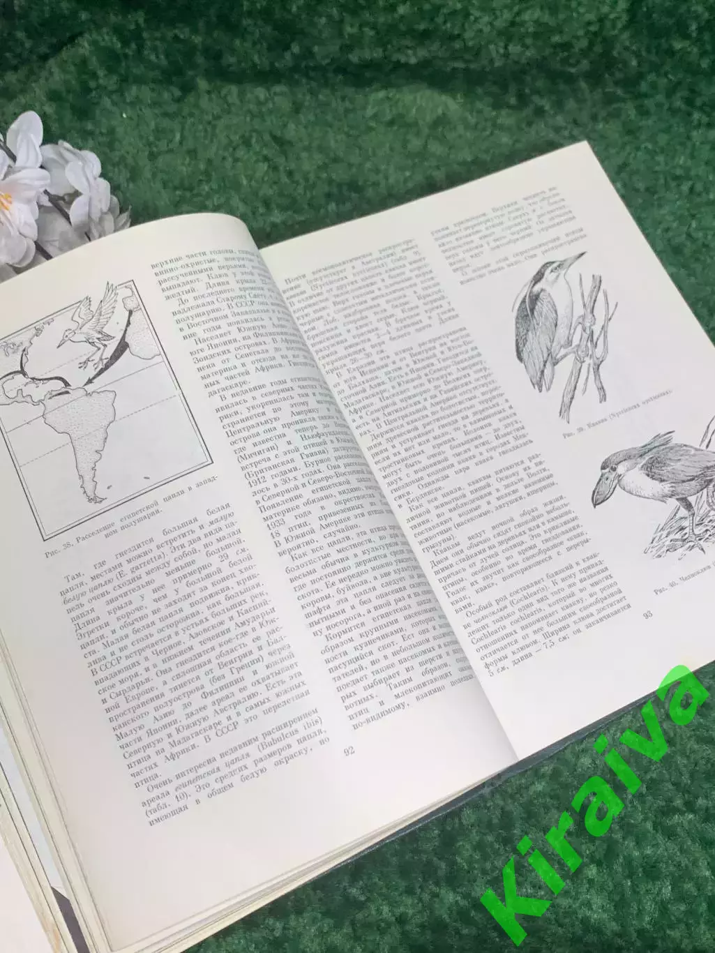 Книга антикварный том 5 из серии энциклопедий «Жизнь животных», 1970 г., Н2373 4