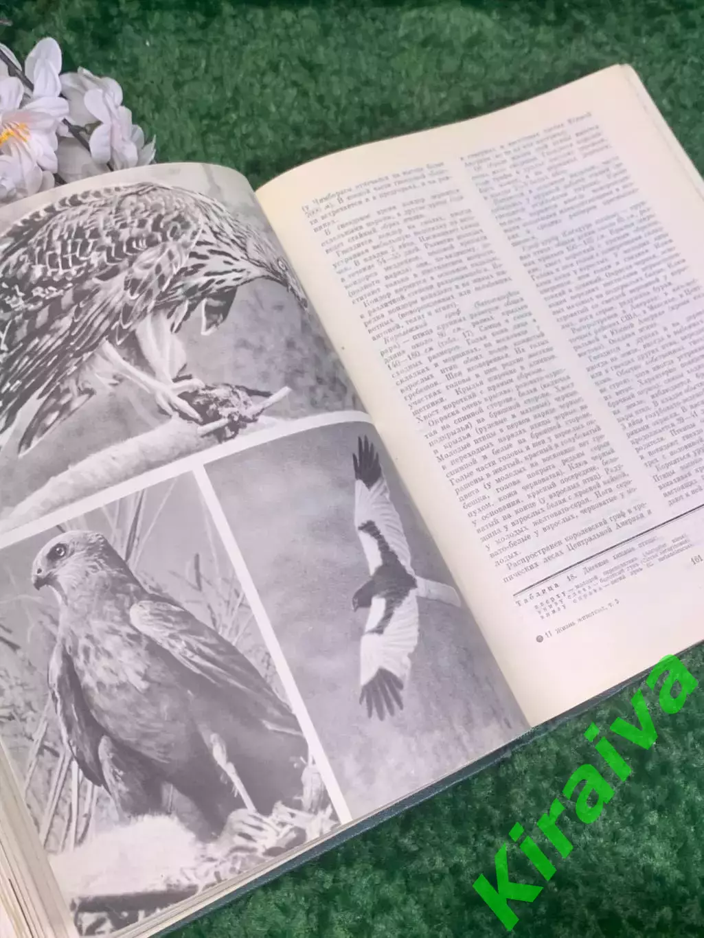 Книга антикварный том 5 из серии энциклопедий «Жизнь животных», 1970 г., Н2373 5