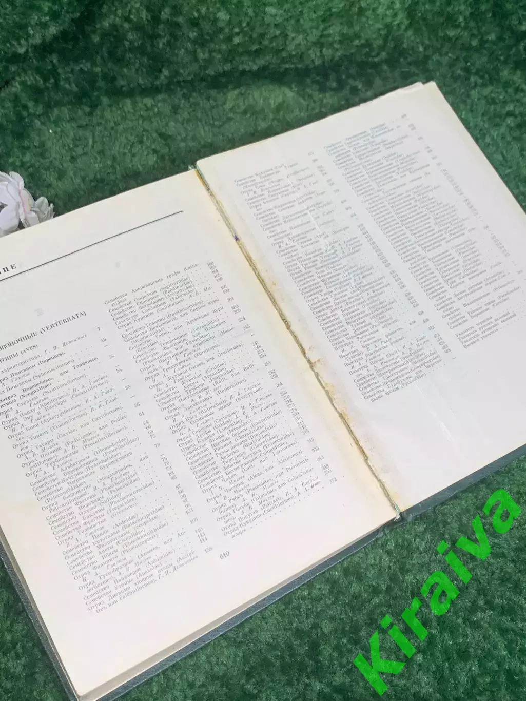 Книга антикварный том 5 из серии энциклопедий «Жизнь животных», 1970 г., Н2373 7