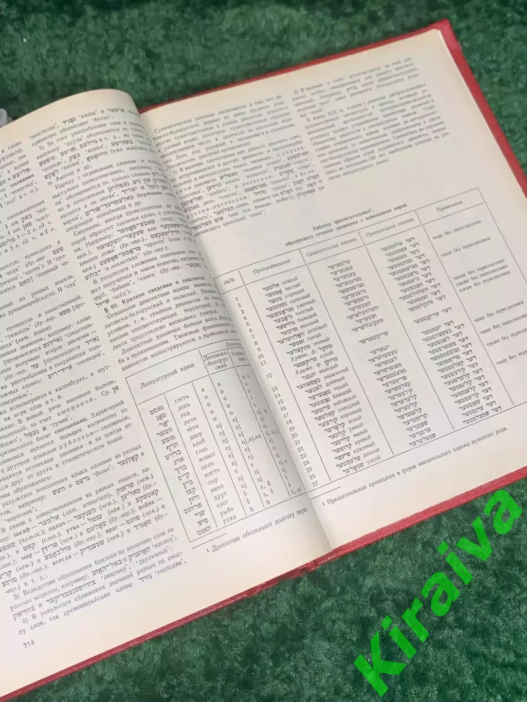 Книга Русско-еврейский (идиш) словарь 1989 г., Н2374 6