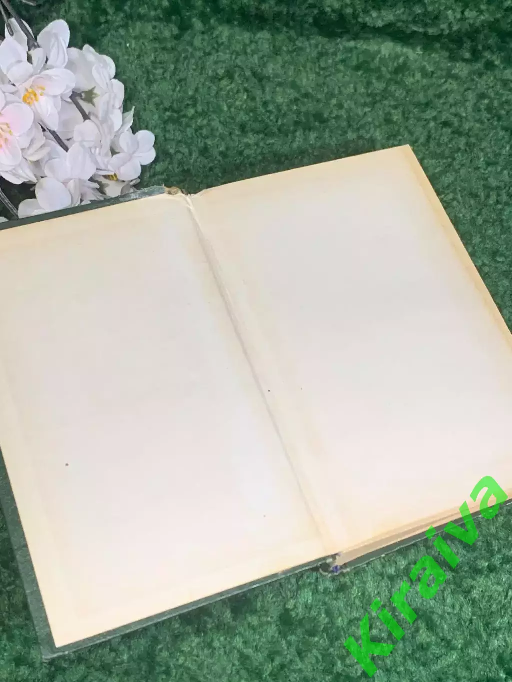 Книга «Справочник по оказанию скорой и неотложной помощи»Чазова 1975 г., Н2375 1