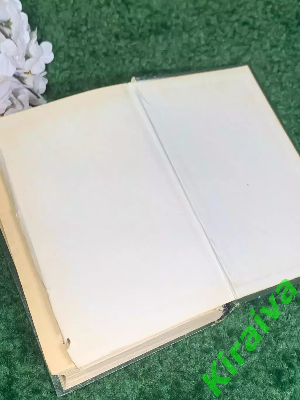 Книга «Справочник по оказанию скорой и неотложной помощи»Чазова 1975 г., Н2375 6