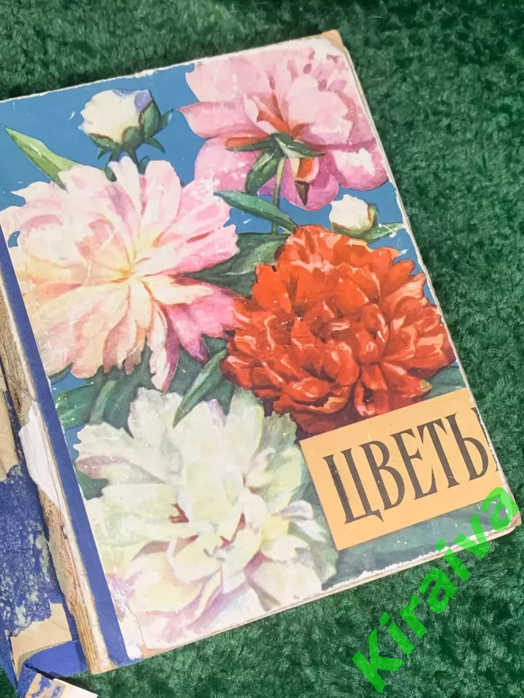 Книга «Цветы» Госсельскохозиздат УССР, Киев, 1959 СССР, Н2376 1