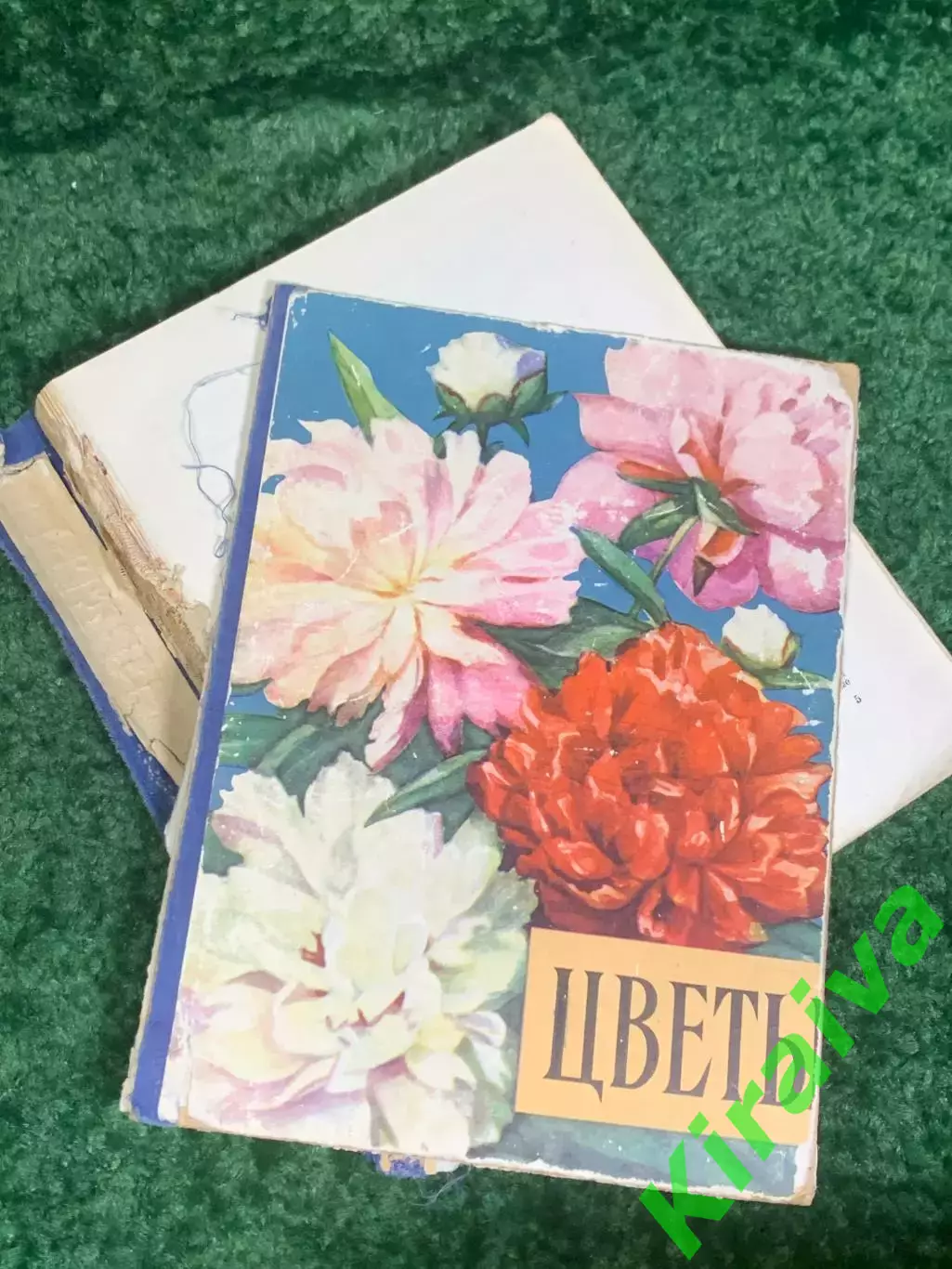 Книга «Цветы» Госсельскохозиздат УССР, Киев, 1959 СССР, Н2376 2