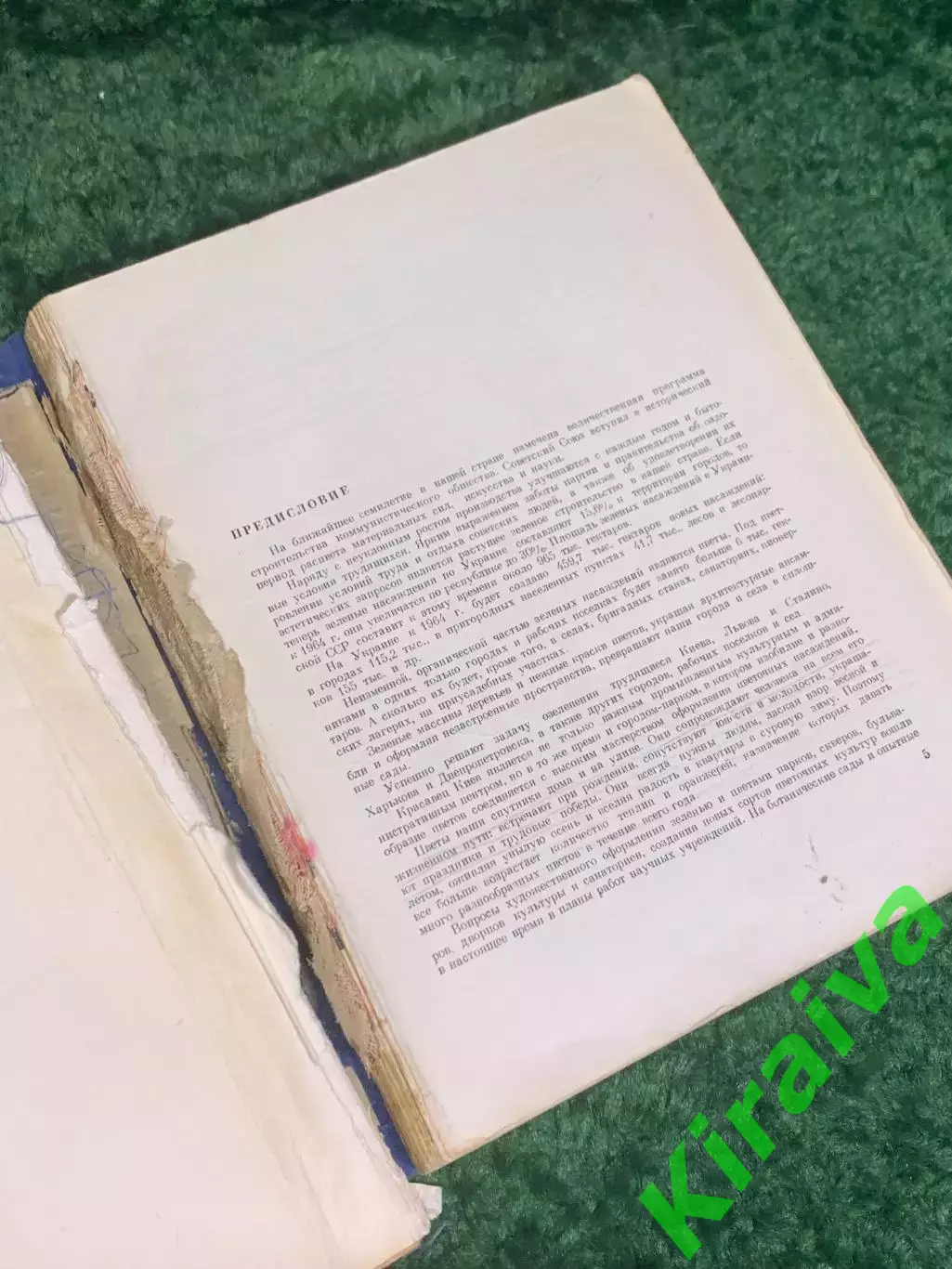 Книга «Цветы» Госсельскохозиздат УССР, Киев, 1959 СССР, Н2376 3