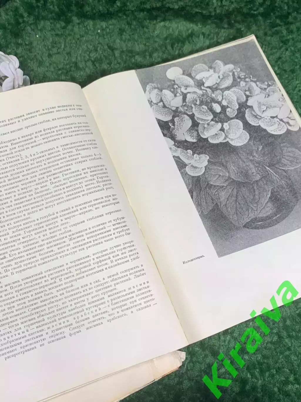 Книга «Цветы» Госсельскохозиздат УССР, Киев, 1959 СССР, Н2376 5