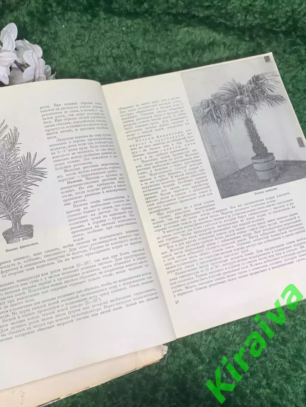 Книга «Цветы» Госсельскохозиздат УССР, Киев, 1959 СССР, Н2376 6