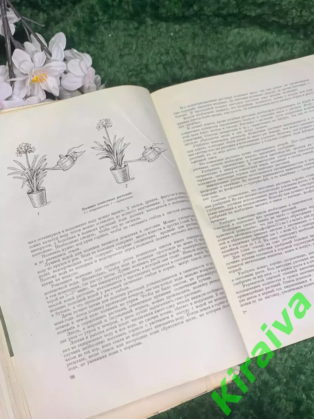 Книга «Цветы» Госсельскохозиздат УССР, Киев, 1959 СССР, Н2376 7