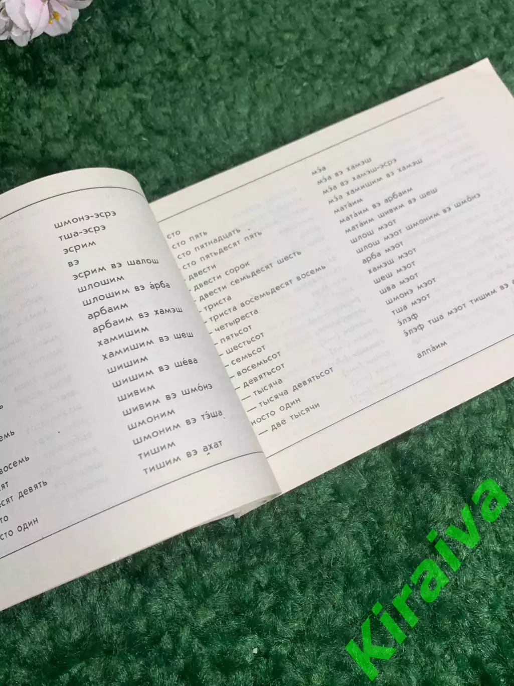 Книга разговорник, словарь «Русский — иврит (идиш)», еврейский, Н2383 инструкции 3