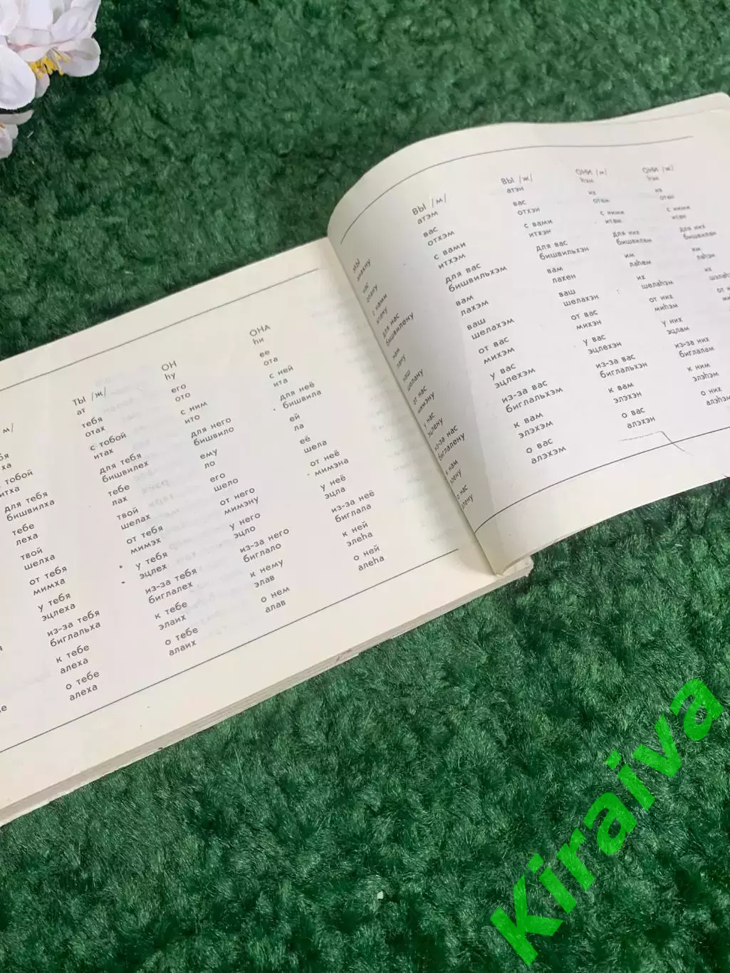 Книга разговорник, словарь «Русский — иврит (идиш)», еврейский, Н2383 инструкции 4