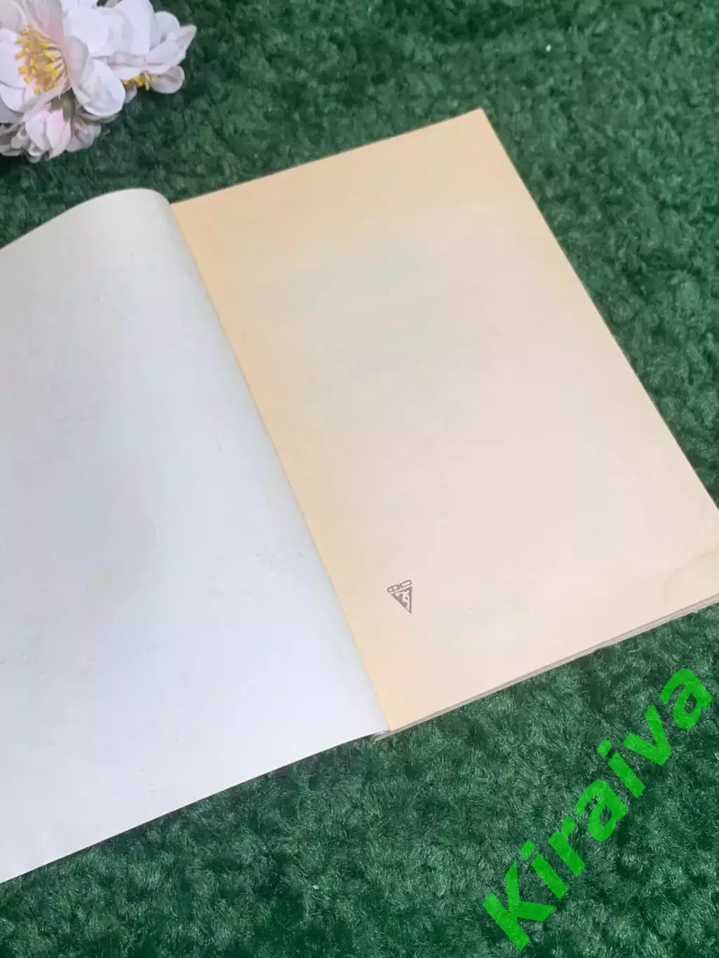 Книга «Свисток» Тони Шумахер Blowing the Whistle Toni Schumacher 1988 г, Н2388 1