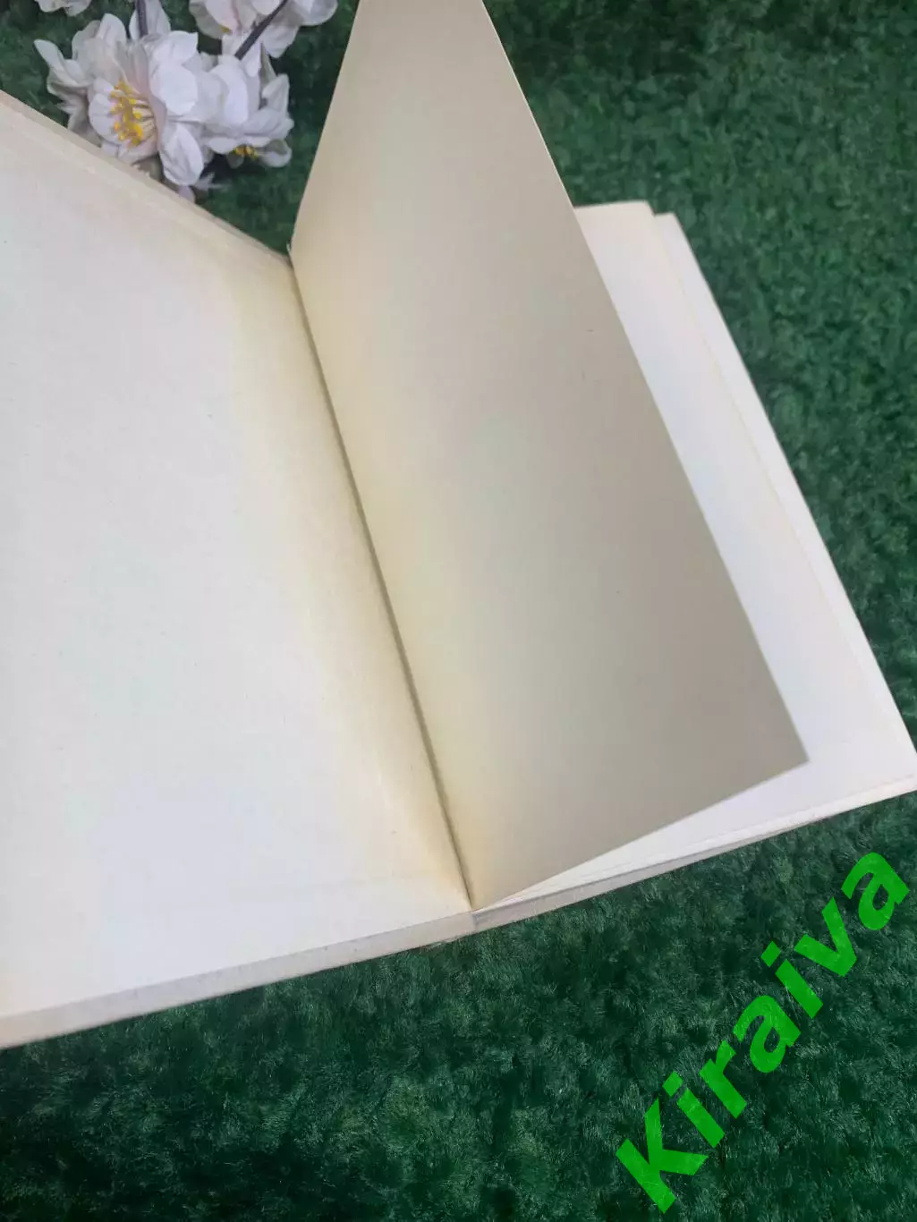 Книга мемуары, автобиография «Воспоминания» Анастасия Цветаева, 1971 г., Н2393 1