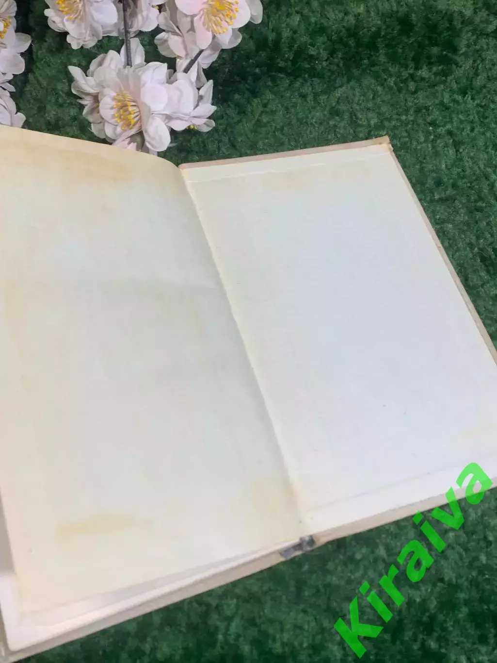 Книга мемуары, автобиография «Воспоминания» Анастасия Цветаева, 1971 г., Н2393 5