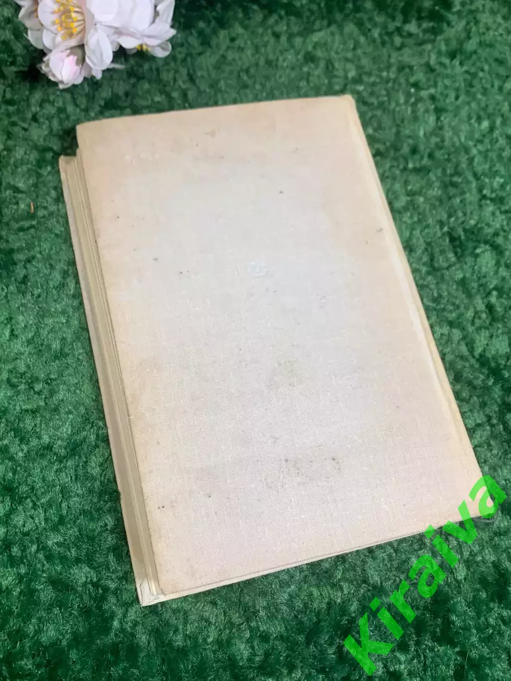 Книга мемуары, автобиография «Воспоминания» Анастасия Цветаева, 1971 г., Н2393 6