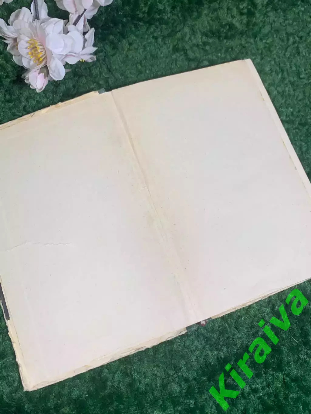 Книга сборник афоризмов «В мире мудрых мыслей» С. Х. Карин, 1962 г., Н2395 1