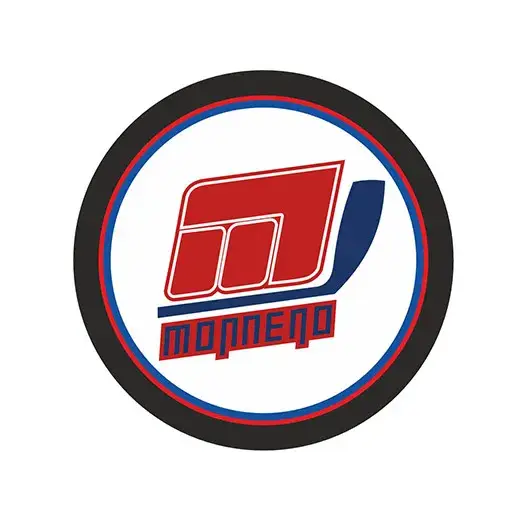 Шайба Торпедо Ярославль 1997 1-ст.