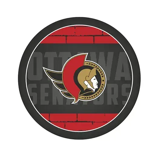 Шайба НХЛ 2023 Оттава 1-ст. 1